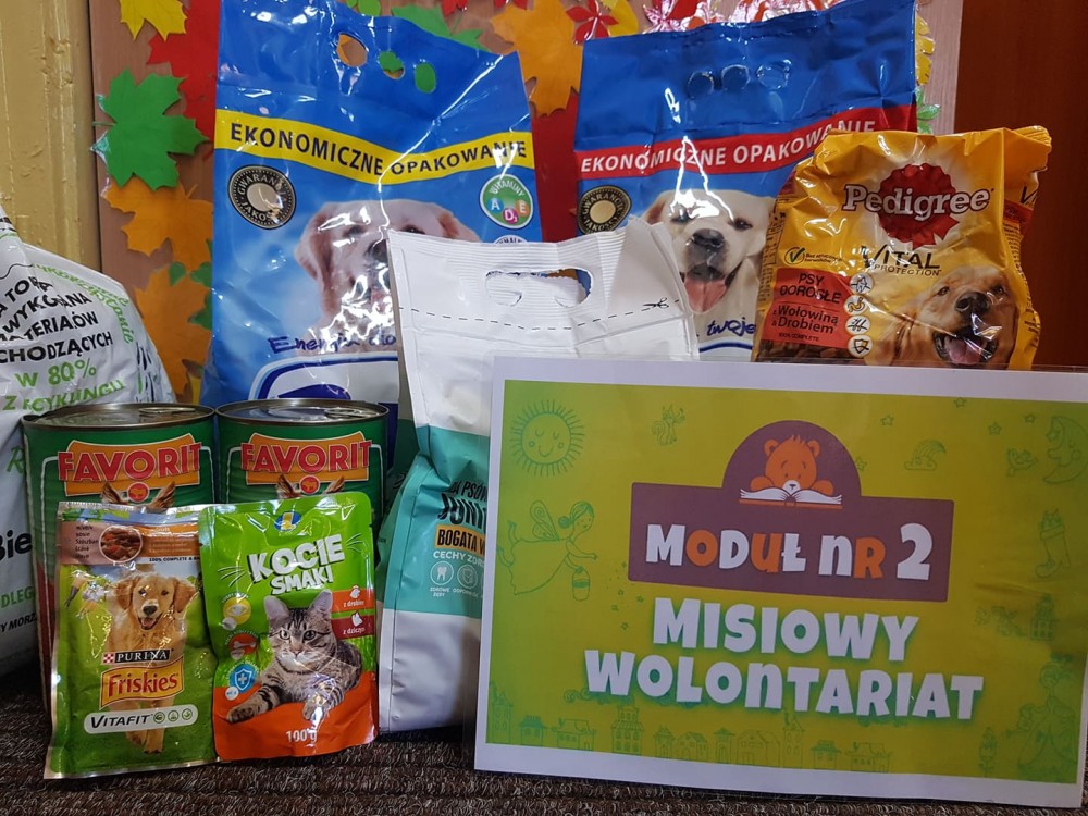 Charytatywna zbiórka karmy na rzecz Krakowskiego Schroniska dla Bezdomnych Zwierząt